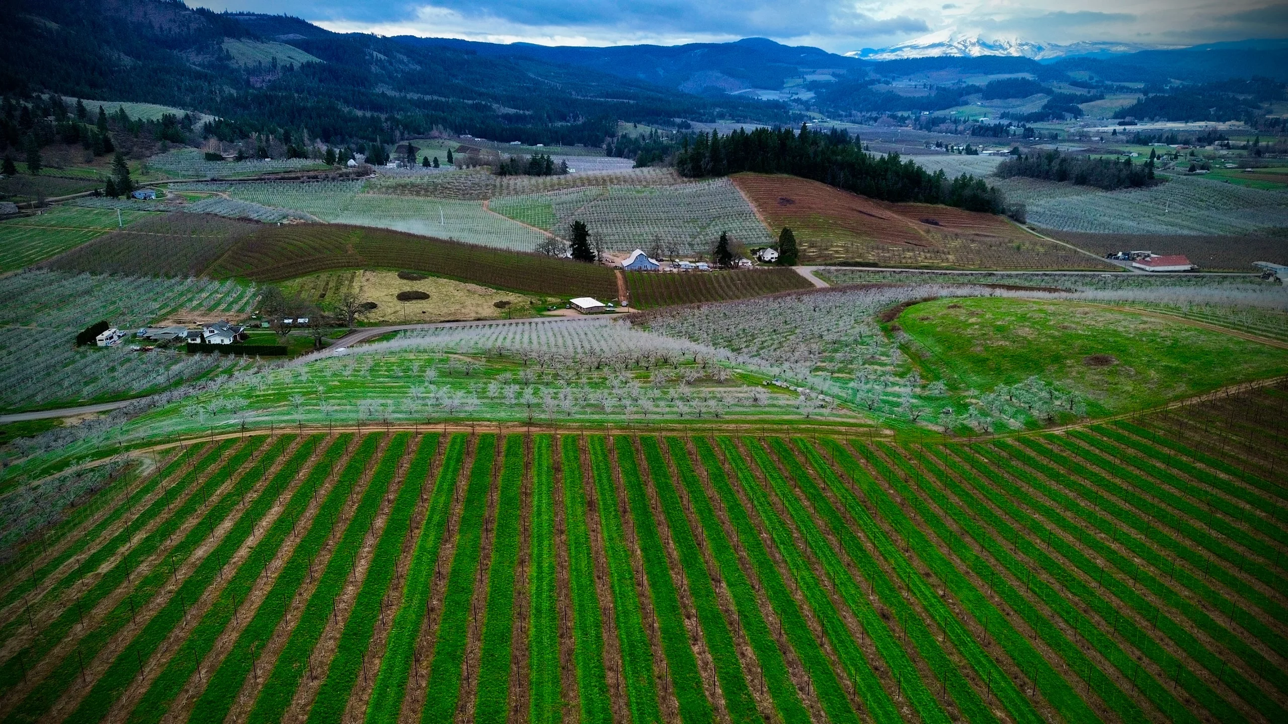 Farm shot from above