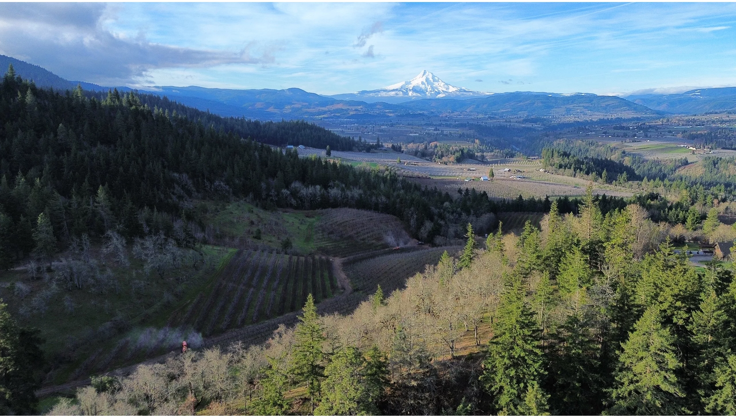 Hood River valley and Mt Hood